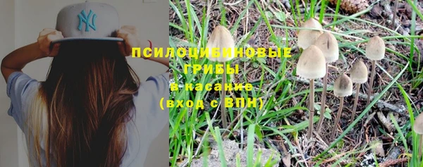 спайс Инсар