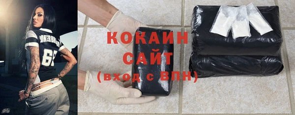 прущие грибы Каменск-Шахтинский