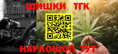 индика Кулебаки