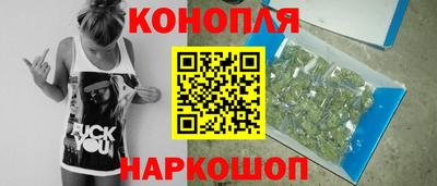 индика Кулебаки