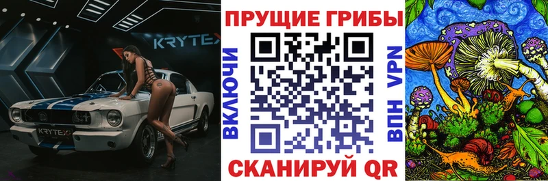 ОМГ ОМГ зеркало  Ишим  Галлюциногенные грибы Psilocybe  купить наркотик 
